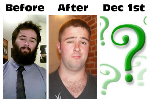 Support A Bald Bear For Movember